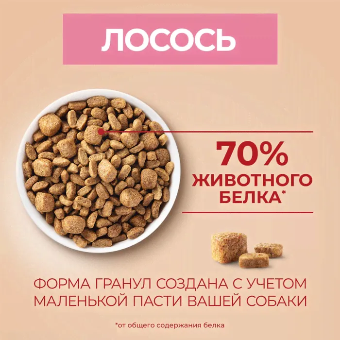 Сухой корм для взрослых собак мелких пород Purina ONE Мини Чувствительная, с чувствительным пищеварением, с лососем и рисом-2