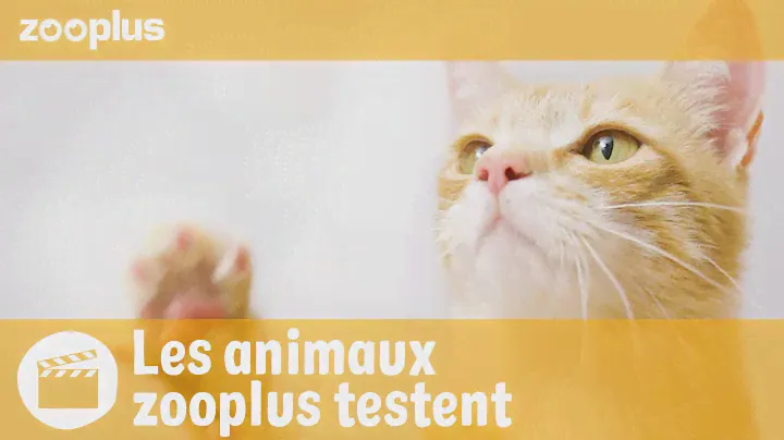 Nils | Les animaux zooplus testent: PURINA PRO PLAN Hydra Care Feline