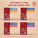 Purina ONE Adult Сухой корм для взрослых собак средних и крупных пород, с говядиной и рисом, 3,8 кг