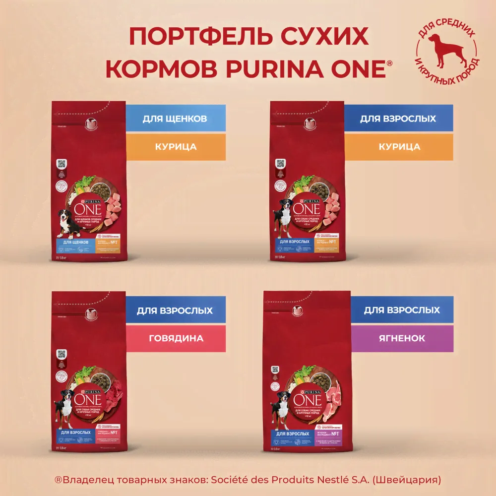 Purina ONE Adult Сухой корм для взрослых собак средних и крупных пород, с говядиной и рисом, 3,8 кг-4