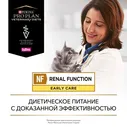 Purina Veterinary Diets UR Feline Ocean Fish - Диета для кошек при заболеваниях нижних отделов мочевыводящих путей с Океанической Рыбой