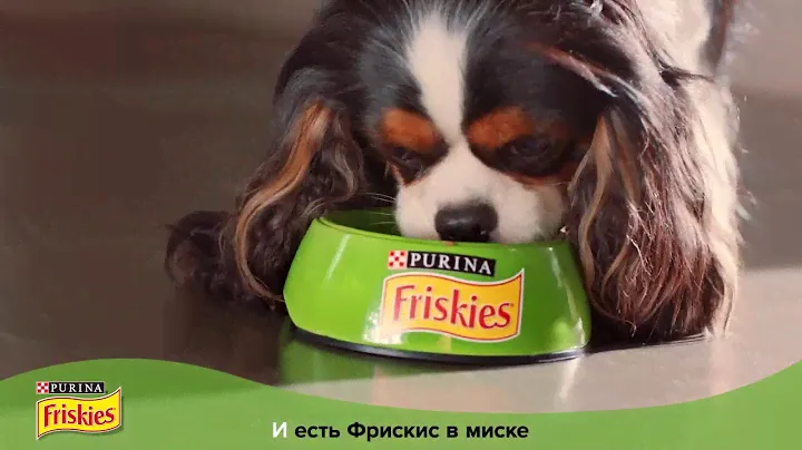 Friskies® для самых счастливых собак!
