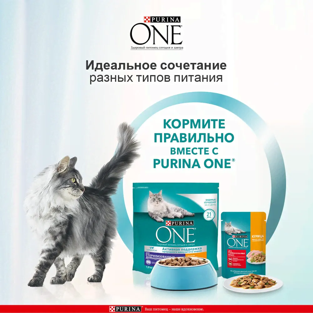 Purina ONE Sterilised Сухой корм для взрослых стерилизованных кошек и кастрированных котов, с курицей и цельными злаками, 1,5 кг-0