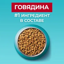 Сухой корм для стерилизованных кошек и кастрированных котов Purina ONE, с высоким содержанием говядины и пшеницей