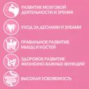 Корм влажный Purina One для котят с курицей и морковью, 75г