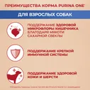 Корм сухой Purina One для взрослых собак средних и крупных пород с курицей и рисом, 10кг