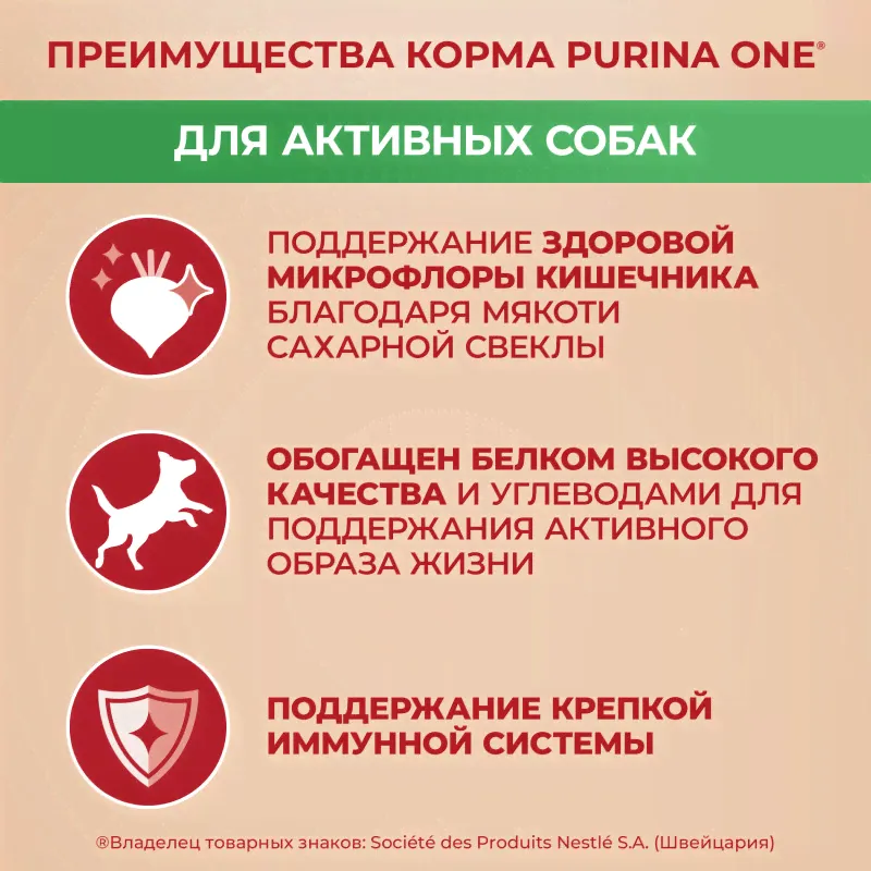 Сухой корм для собак Purina ONE для мелких пород с активным образом жизни с курицей и рисом 3кг-0