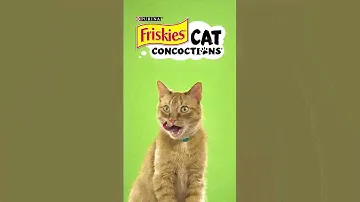 Cat Concoctions® Wet Cat Food | Friskies® Commercial :30
