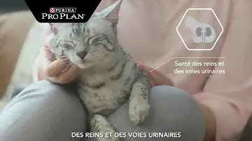 Découvrez Purina Pro Plan Cat Sterilised pour les chats stérilisés