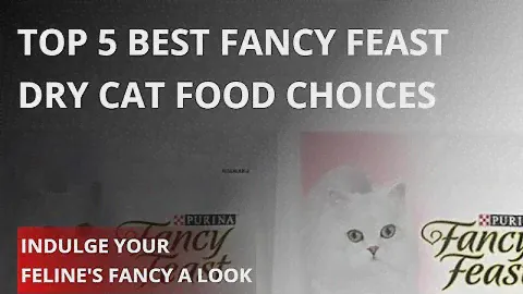 Indulge Your Feline's Fancy A Look at Top 5 Fancy Feast Dry Cat Food Choices
