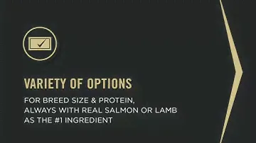 Purina Pro Plan Sensitive Skin and Stomach Dog Food With Probiotics for Dogs, Salmon & Rice Formula