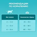Корм для домашних кошек "PURINA ONE®" с индейкой и цельными злаками, сухой, 750г