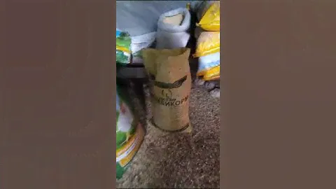 лучше PURINA корма нету