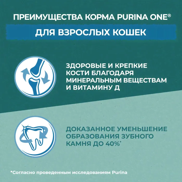 Сухой корм для кошек Purina ONE Природа здоровья с индейкой 680г