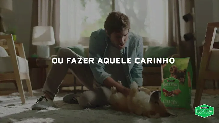 Purina Dog Chow