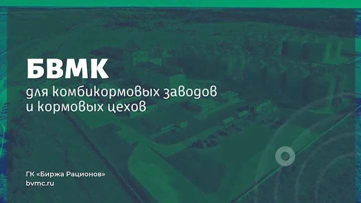 БВМК для комбикормовых заводов и кормовых цехов (1-е представительство)