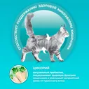Сухой корм кошек Purina ONE полнорационный для стерилизованных с высоким содержанием лосося 3кг