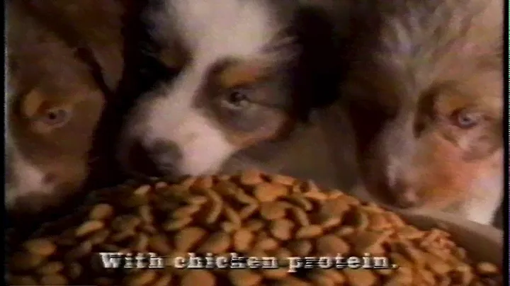 1997 Purina Puppy Chow With Chicken Protein Commercial
