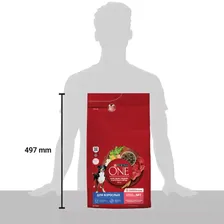 Purina ONE Adult Сухой корм для взрослых собак средних и крупных пород, с говядиной и рисом, 3,8 кг