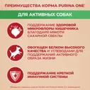 Сухой корм для собак Purina ONE для мелких пород с активным образом жизни с курицей и рисом 3кг
