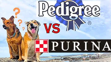 BEST DOG FOOD -  The TRUTH: Pedigree vs Purina - The 2 Largest Pet Food Companies