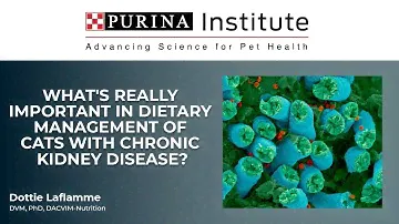 What's really important in dietary management of cats with CKD, Dr. Dottie Laflamme