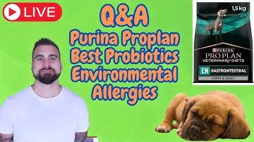 Q&A: Purina Gastrointestinal, Best Probiotics & Environmental Allergies