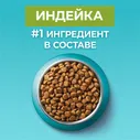 Purina One Сухой корм для кошек с чувствительным пищеварением с индейкой и рисом 1,5 кг