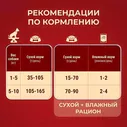 Сухой корм для взрослых собак мелких пород Purina ONE Мини Чувствительная, с чувствительным пищеварением, с лососем и рисом
