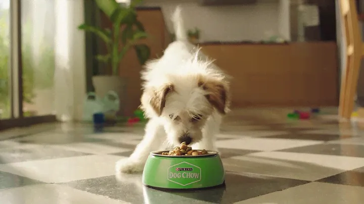 Purina Dog Chow, ahora con EXTRALIFE