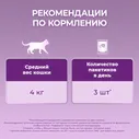 Влажный корм для кошек Purina ONE Индейка-Утка-Морковь 75г
