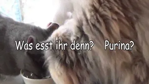 Purina Pro Plan Delicate Test