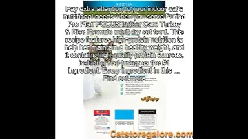 Purina Pro Plan Focus Indoor Care Turkey & Rice Formula Adult Dry Cat Food - 16 Lb. Bag