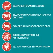 Purina ONE Sterilised Сухой корм для взрослых стерилизованных кошек и кастрированных котов, с говядиной и пшеницей, 3 кг