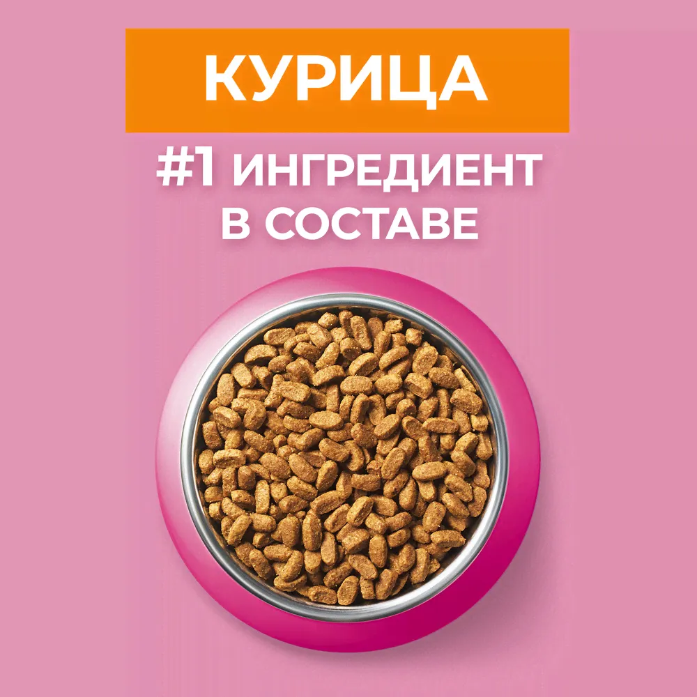 Сухой корм для котят Purina ONE, с высоким содержанием курицы и цельными злаками