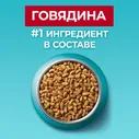Корм сухой Purina One для стерилизованных кошек и кастрированных котов с говядиной и пшеницей, 3кг