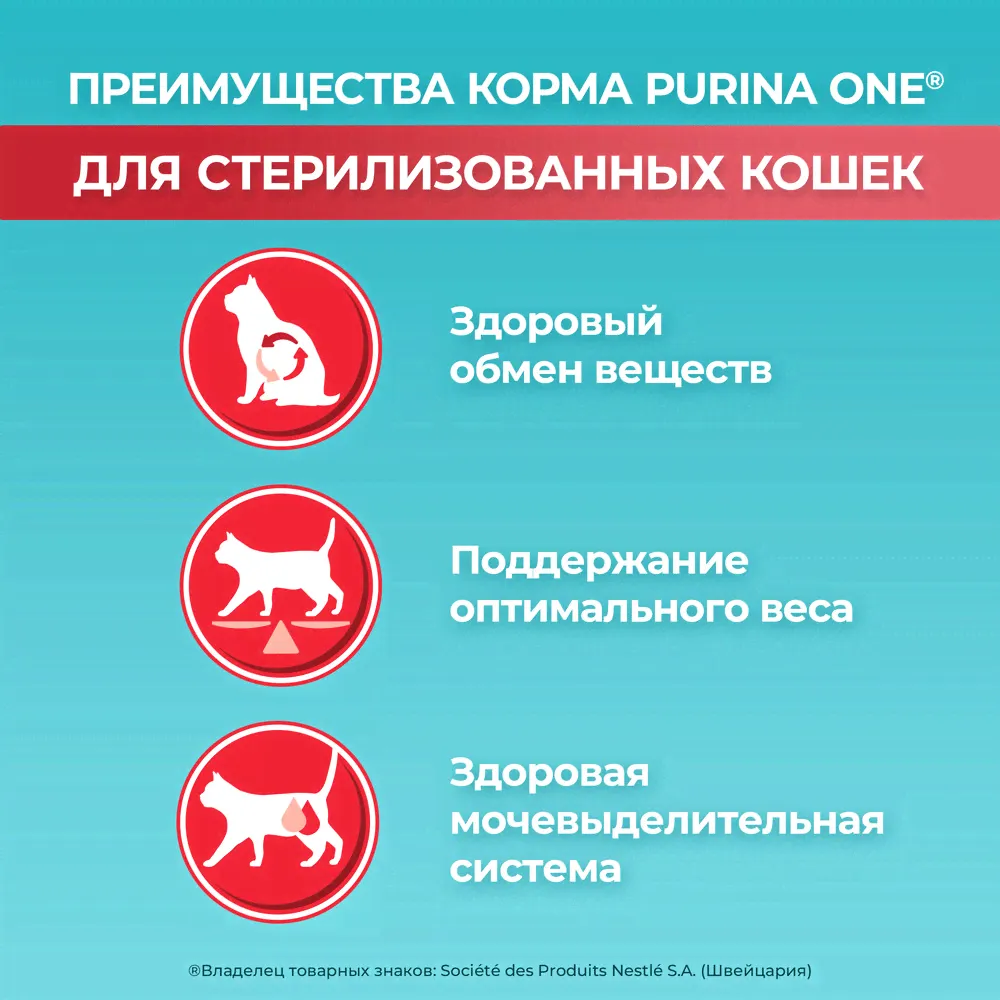 Purina ONE Sterilised Сухой корм для взрослых стерилизованных кошек и кастрированных котов, с лососем и пшеницей, 1,5 кг