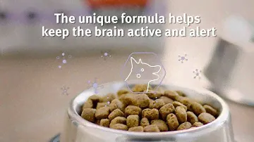 PURINA® PRO PLAN® Adult 7+ (Senior) with OPTIAGE™ (15")