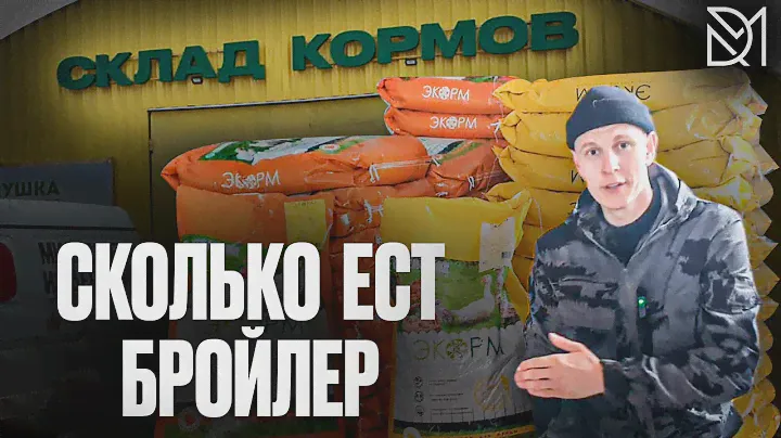 ПЕРЕХОДИМ НА НОВЫЕ КОРМА//ЧЕМ КОРМИТЬ БРОЙЛЕРОВ//СКОЛЬКО ЗАТРАТ НА ОДНОГО БРОЙЛЕРА.