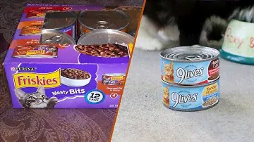 friskies vs 9 lives wet cat food - Which Is The Best