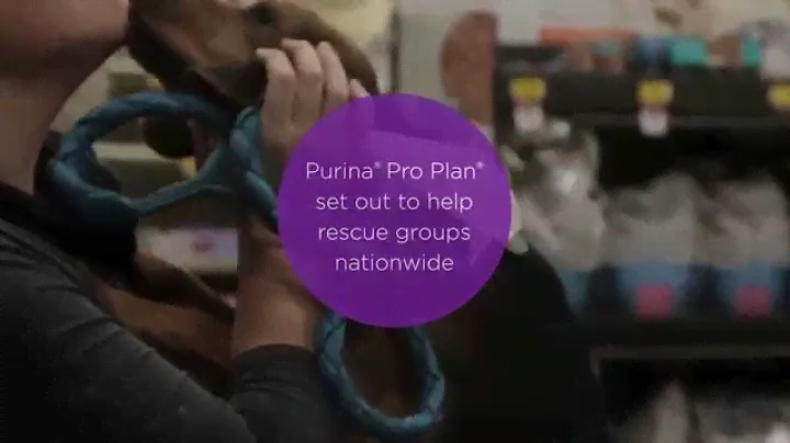 A Passion for Rescued Pets with Purina® Pro Plan® Rally to Rescue