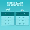 Сухой корм для кошек Purina ONE для стерилизованных с лососем 200г