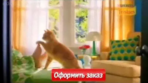 Идеальный корм для кошек Friskies