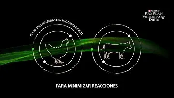 Soluciones hipoalergénicas para perros y gatos   PURINA PRO PLAN VETERINARY DIETS - Wecanimal