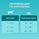 Сухой корм для кошек Purina ONE для взрослых с курицей 750г