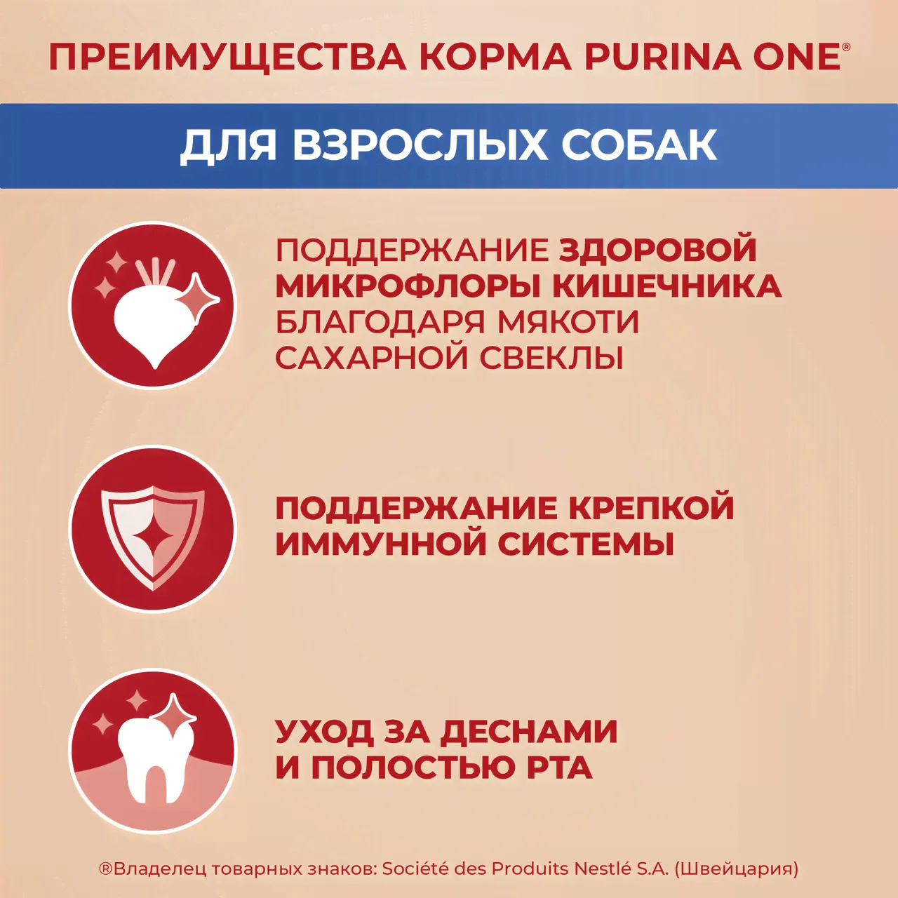Сухой корм для собак Purina ONE для мелких пород с говядиной и рисом 7кг