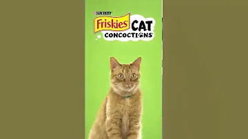 Cat Concoctions® Wet Cat Food | Friskies® Commercial :15