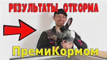 Результаты откорма кроликов ПремиКормом