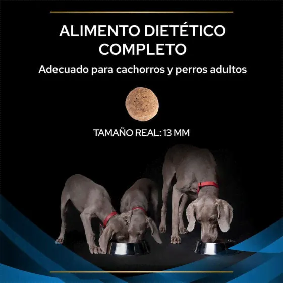 PURINA Pro Plan Vet Drm Dermatosis 12kg Dog Food-2