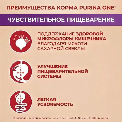 Сухой корм для взрослых собак мелких пород Purina ONE Мини Чувствительная, с чувствительным пищеварением, с лососем и рисом-0
